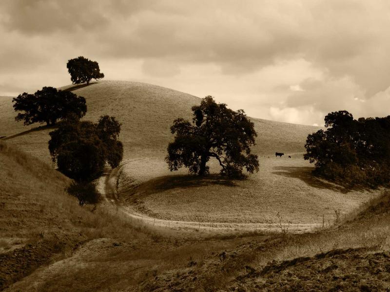 partners screenshot 3