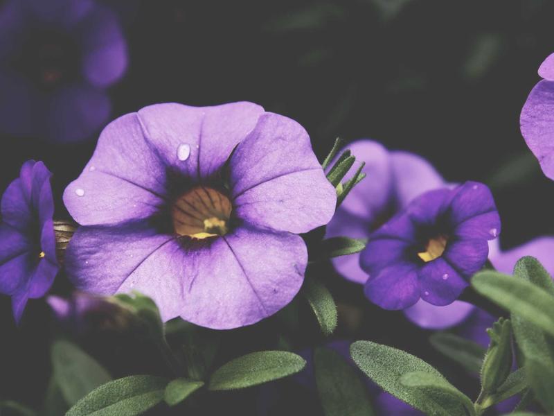 sudoku trial and error screenshot 6